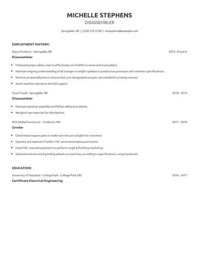 Disassembler Resume