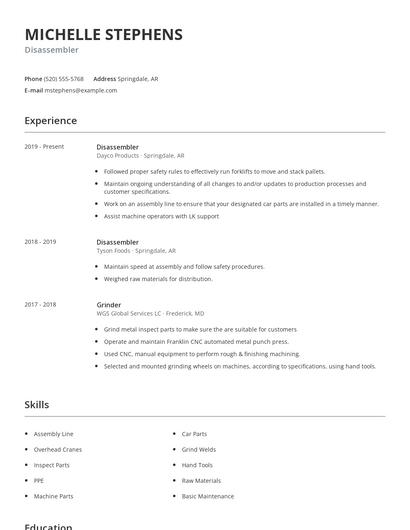 Disassembler Resume