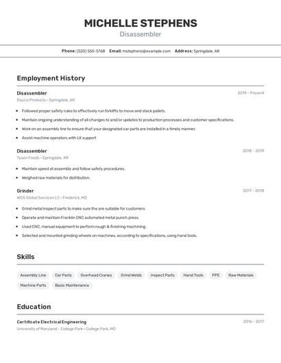 Disassembler Resume