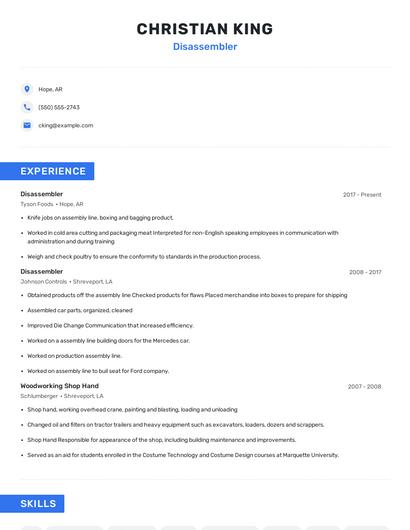 Disassembler Resume