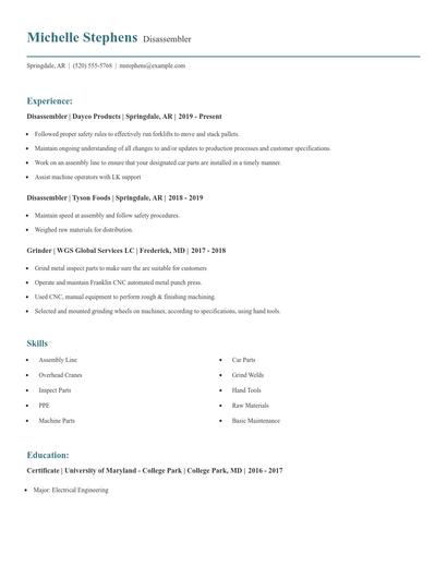 Disassembler Resume