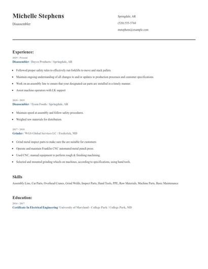 Disassembler Resume