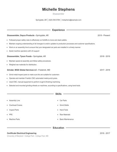 Disassembler Resume
