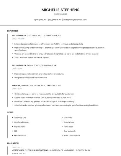 Disassembler Resume