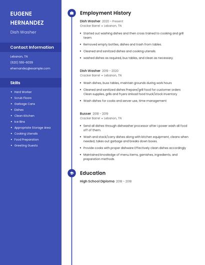 Resume example 4