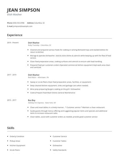 Dish Washer Resume
