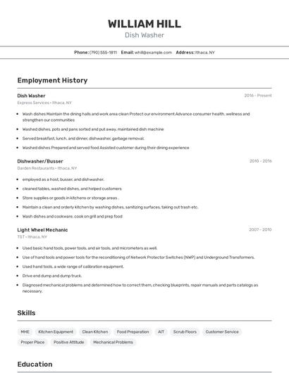 Dish Washer Resume