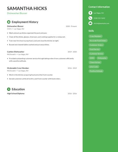 Resume example 4