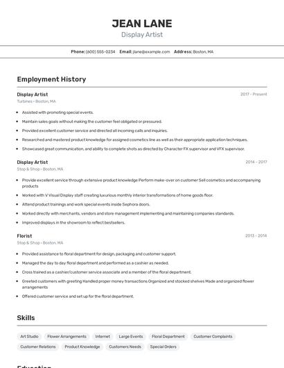 Display Artist Resume