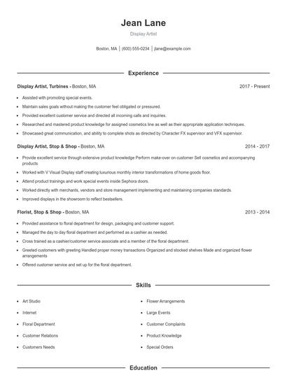 Display Artist Resume