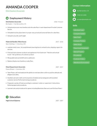 Resume example 4