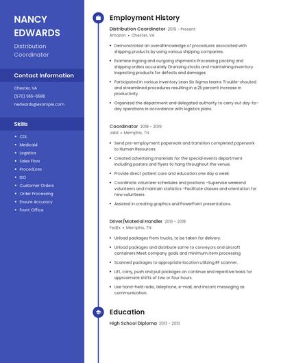 Resume example 5