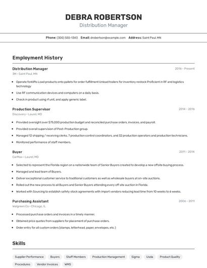 Resume example 2