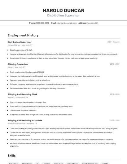 Resume example 2