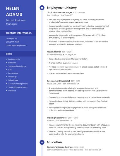 District Business Manager Resume