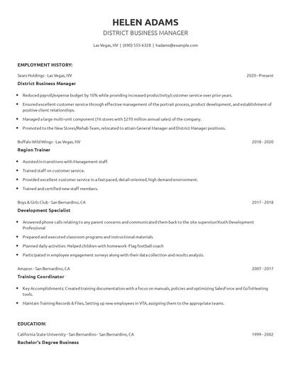 District Business Manager Resume