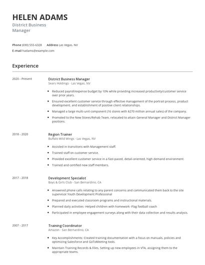 District Business Manager Resume
