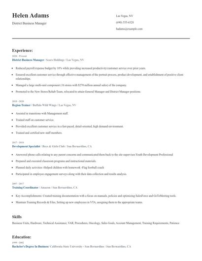 District Business Manager Resume
