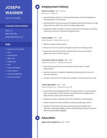 Resume example 5