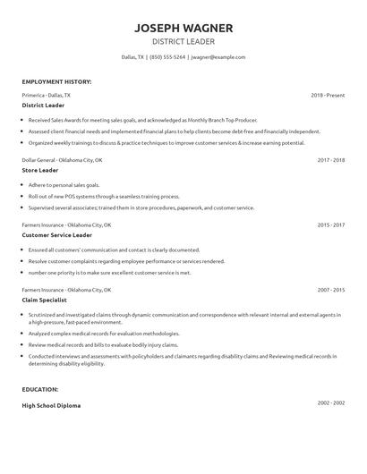 District Leader Resume
