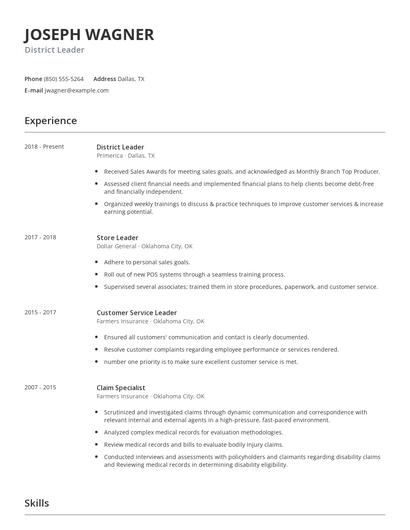 District Leader Resume