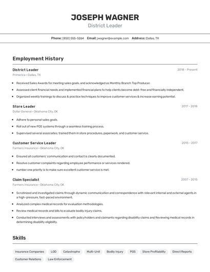 District Leader Resume