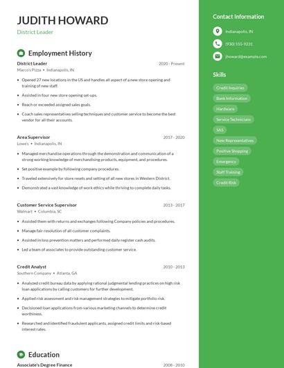 District Leader Resume