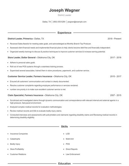 District Leader Resume
