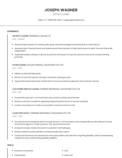 District Leader Resume