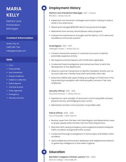 District Loss Prevention Manager Resume