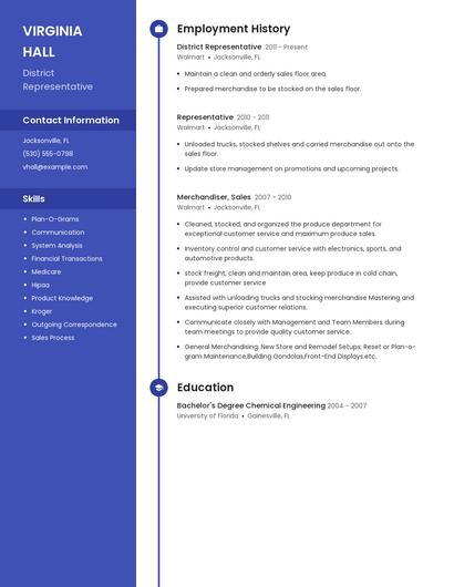 District Representative Resume