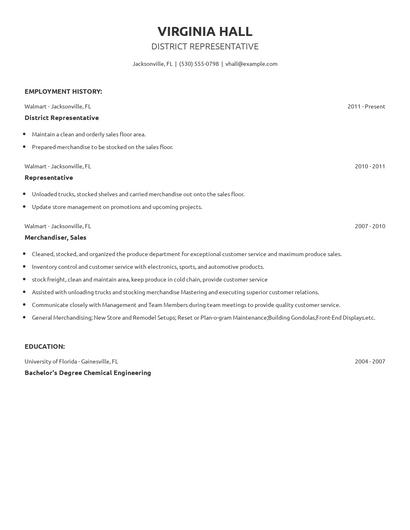 District Representative Resume
