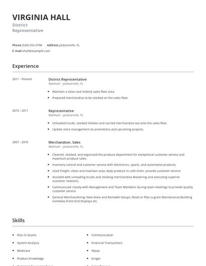 District Representative Resume