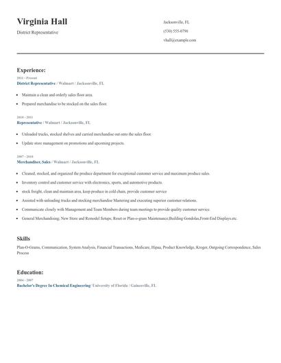 District Representative Resume