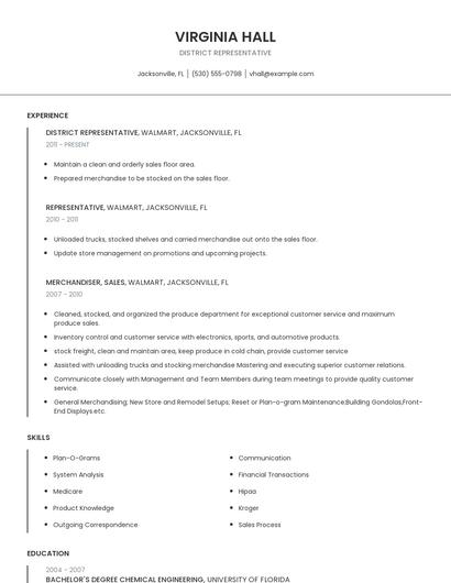 District Representative Resume