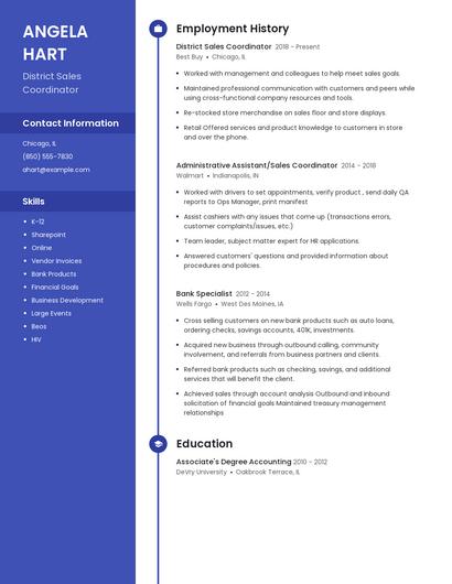 Resume example 4