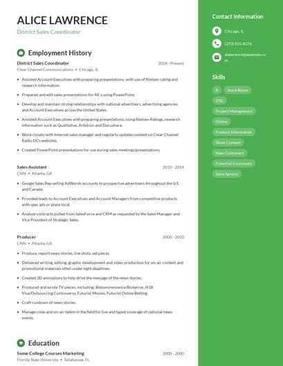Resume example 5