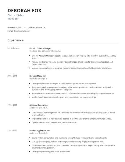 District Sales Manager Resume