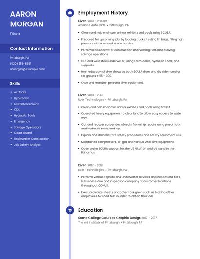Resume example 5