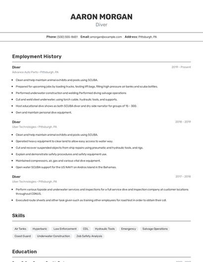 Diver Resume