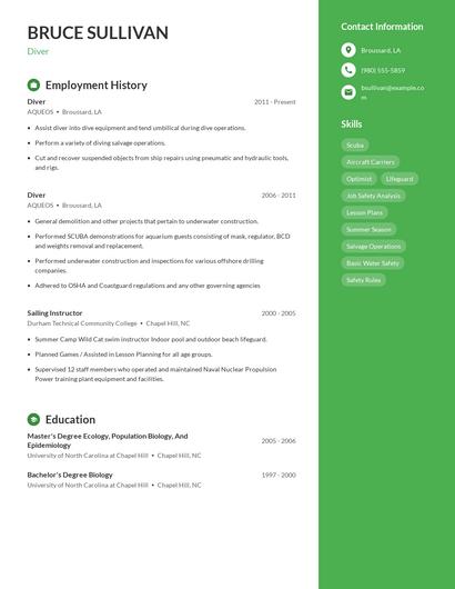 Resume example 4