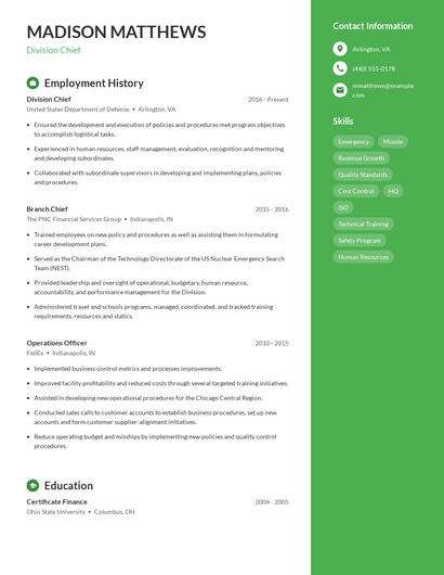 Resume example 4