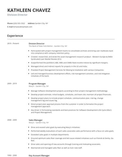 Division Director Resume