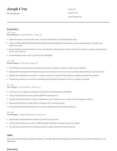 Division Director Resume