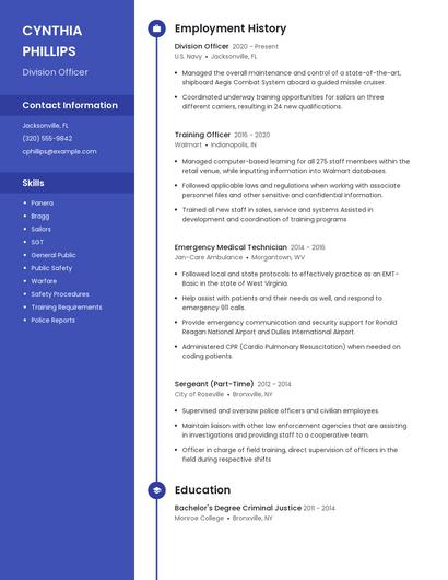 Division Officer Resume