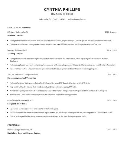 Division Officer Resume