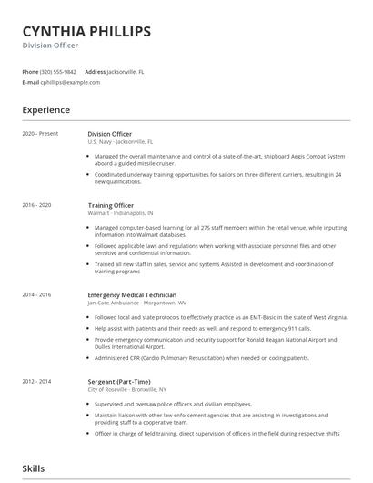 Division Officer Resume