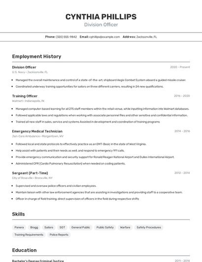 Division Officer Resume