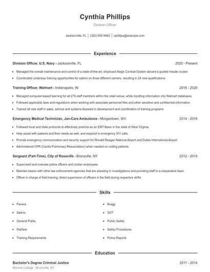 Division Officer Resume