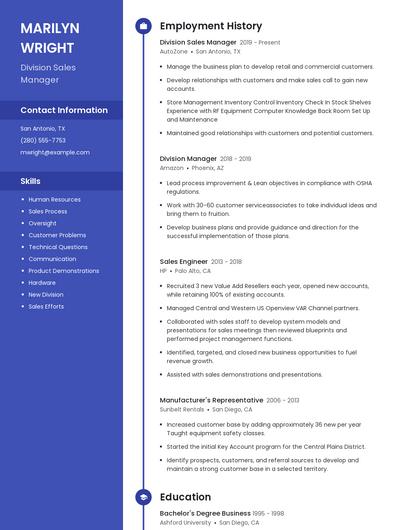 Division Sales Manager Resume